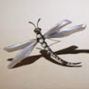 Meet your Posher, Eva